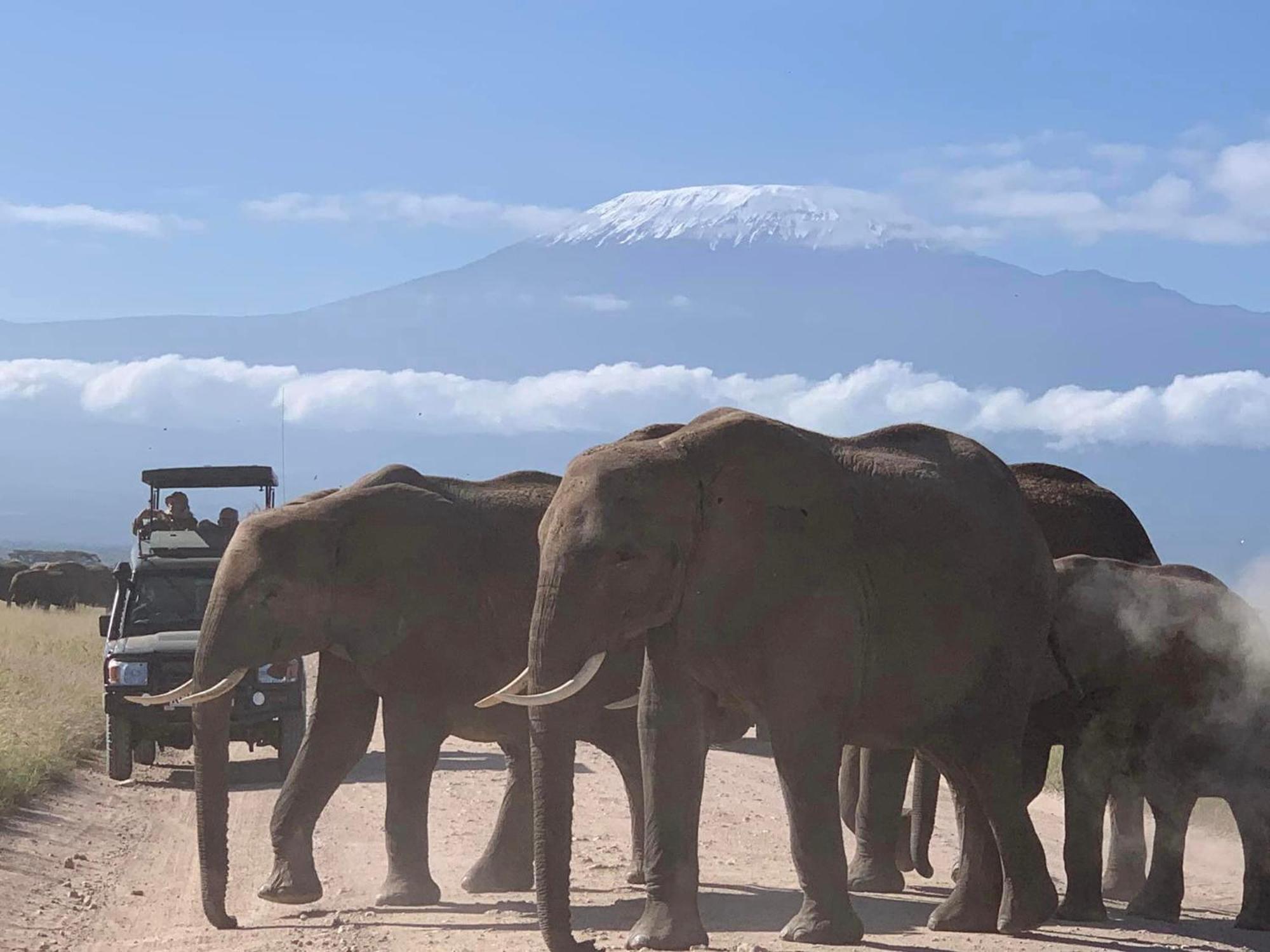 Amboseli Discovery Camp Zewnętrze zdjęcie