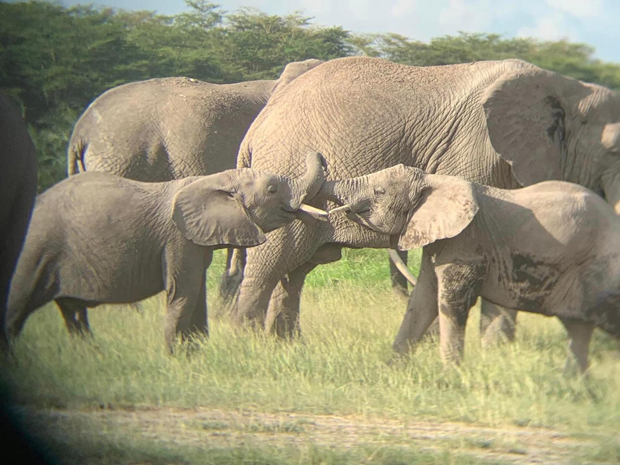 Amboseli Discovery Camp Zewnętrze zdjęcie