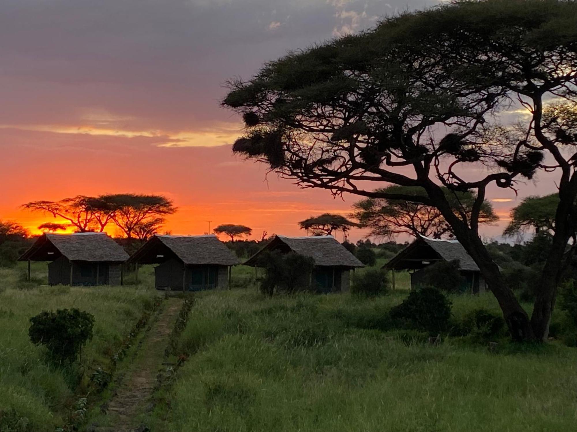 Amboseli Discovery Camp Zewnętrze zdjęcie