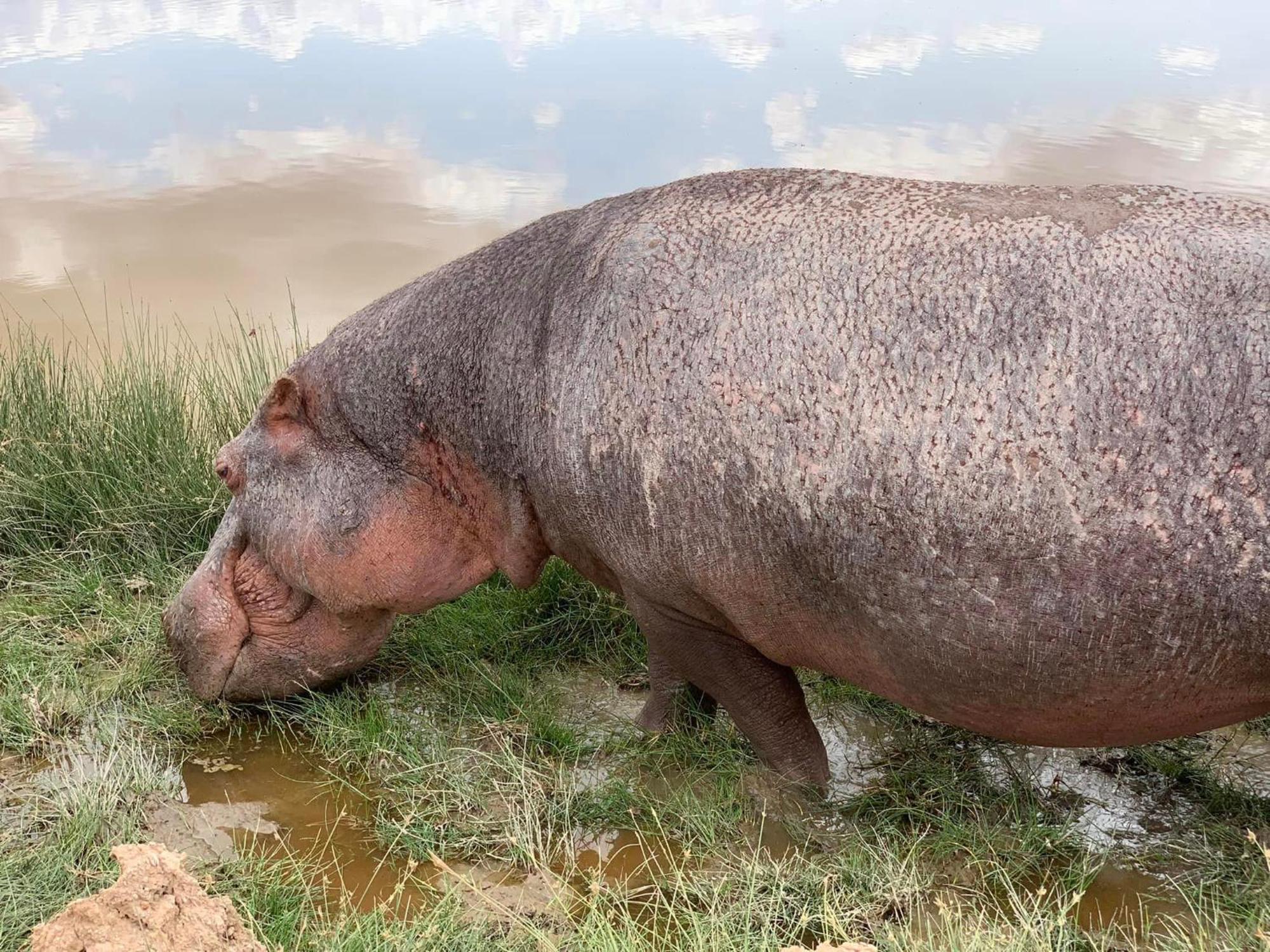 Amboseli Discovery Camp Zewnętrze zdjęcie