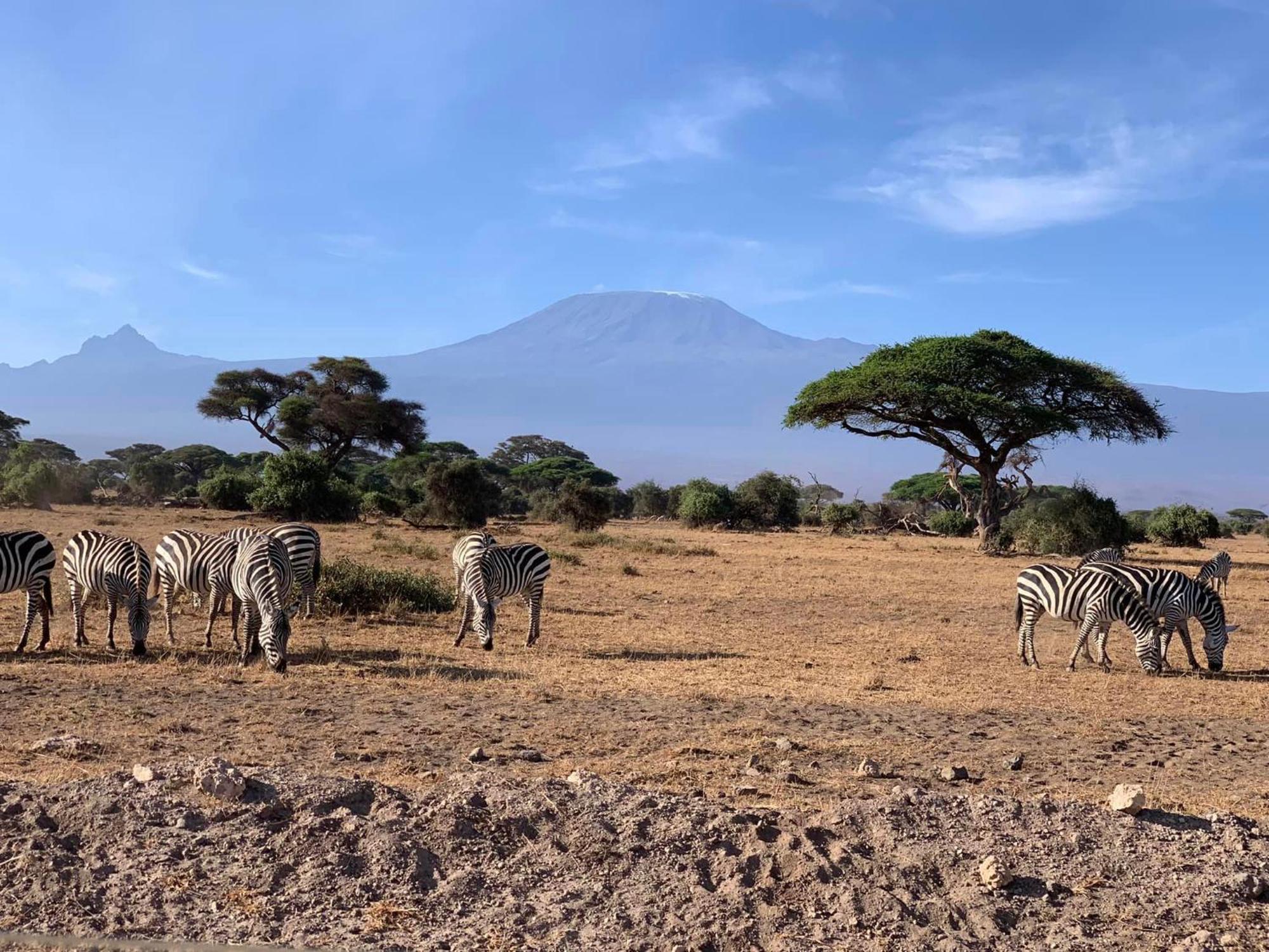 Amboseli Discovery Camp Zewnętrze zdjęcie