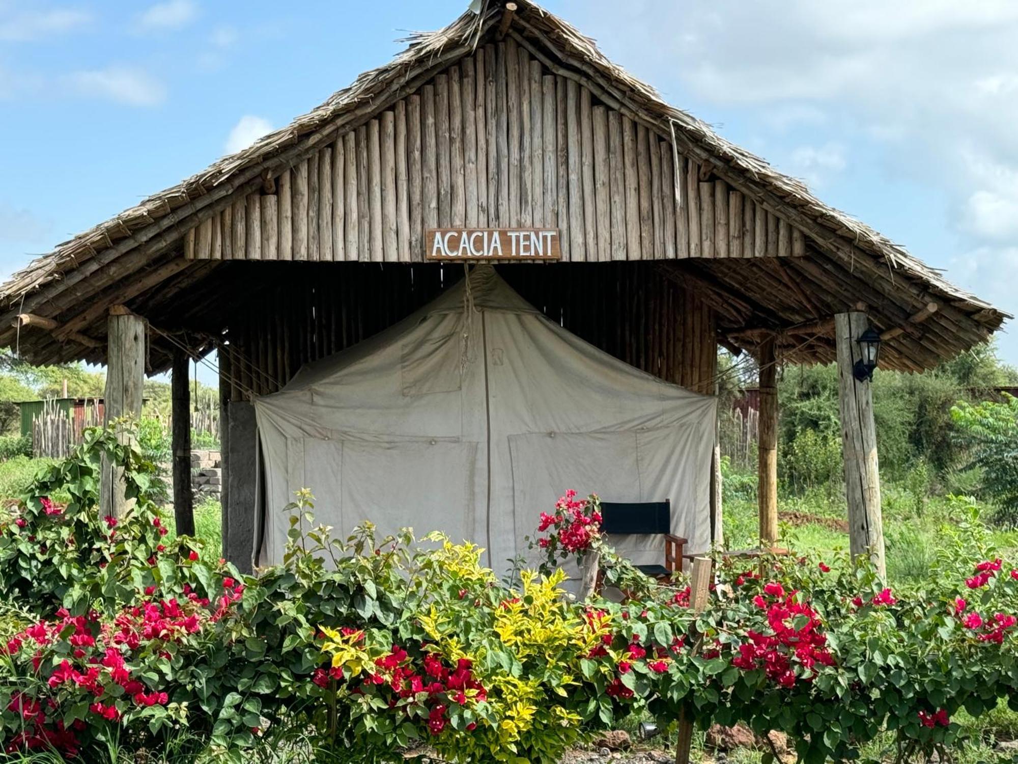 Amboseli Discovery Camp Zewnętrze zdjęcie