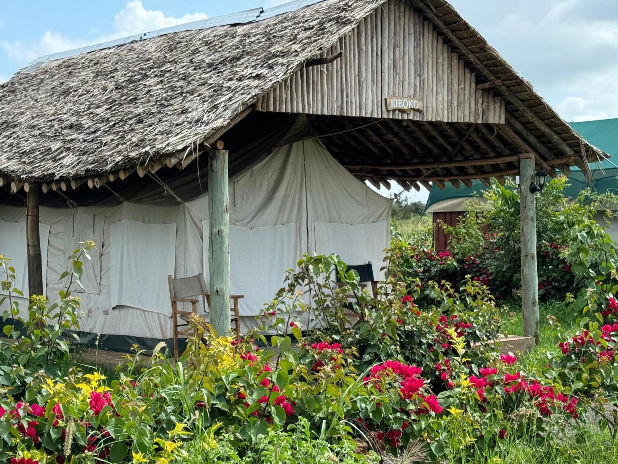Amboseli Discovery Camp Zewnętrze zdjęcie
