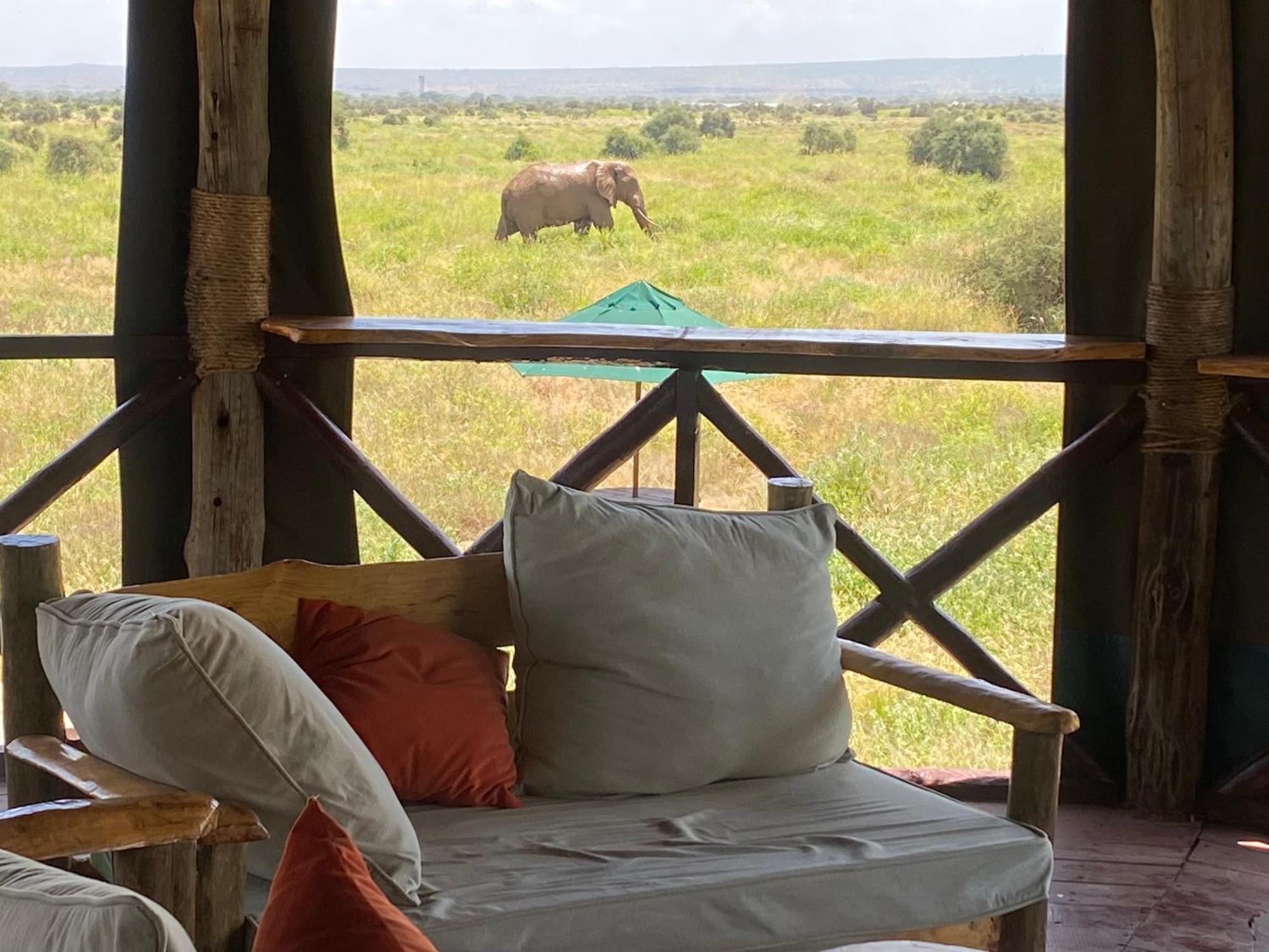 Amboseli Discovery Camp Zewnętrze zdjęcie